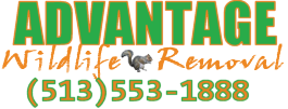 Cincinnati Pest Control | Advantage Wildlife Removal